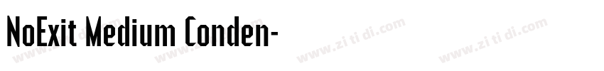 NoExit Medium Conden字体转换